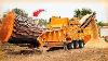 Incredible Powerful Wood Chipper Machines Working Amazing Tree Shredder Machines And Woodworking
