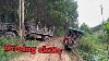 Logging Driving Skills Are Extremely Dangerous Wood Truck